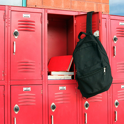 Locker Hinges